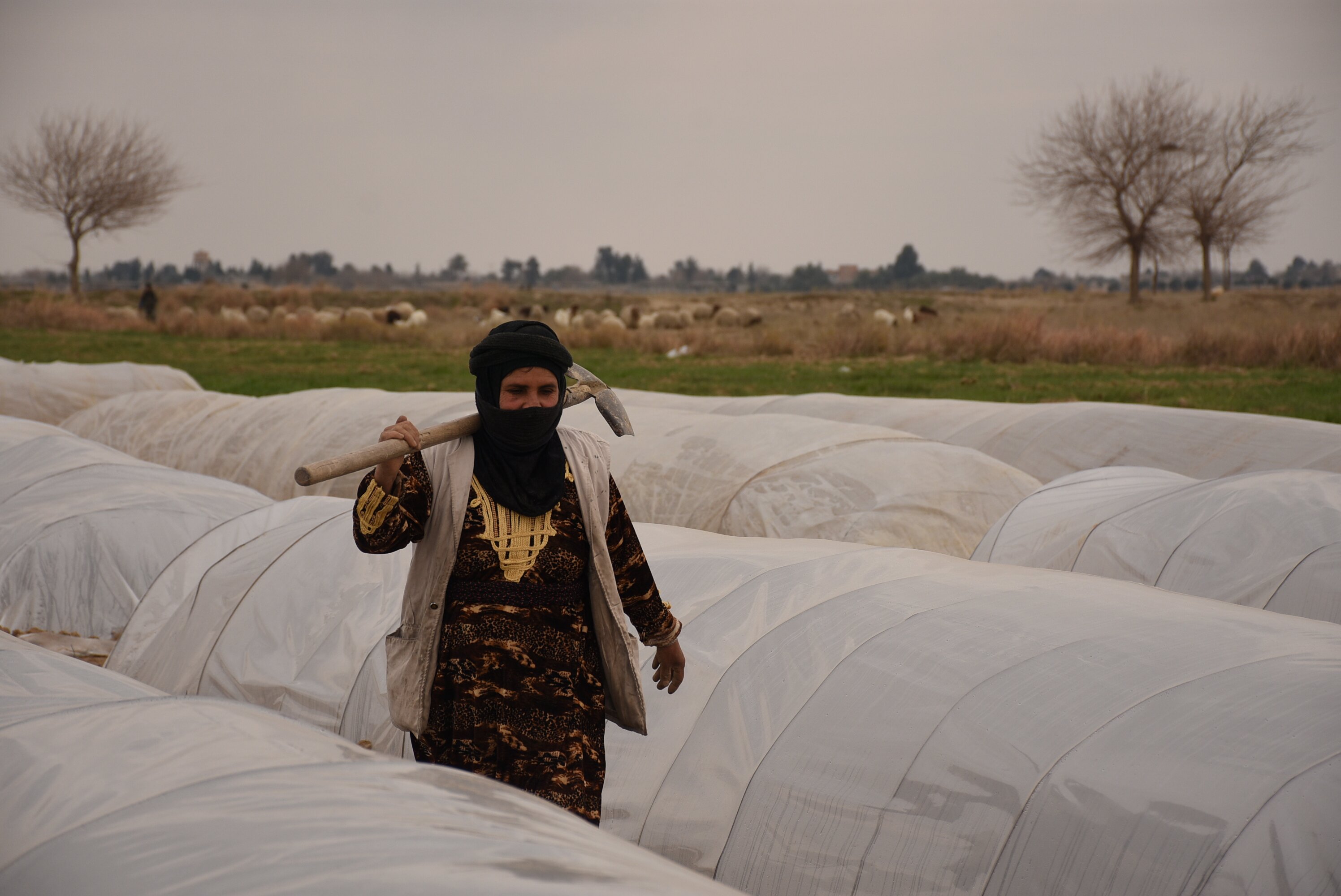 Seeham, 40, fled her home in Deir Ez-Zor with her children in early 2016. ‘The day we fled, we had no destination in mind. We didn’t care where we’d end up so long as we were safe. We didn’t mind sleeping out in the open.’ She said. A few months ago, she returned to a home that had been all but destroyed and lands scorched. Oxfam works with people like Seeham by installing irrigation pumps along the banks of the Euphrates River, helping to restore livelihoods in the agriculture sector. (Photo: Dania Kareh / Oxfam)